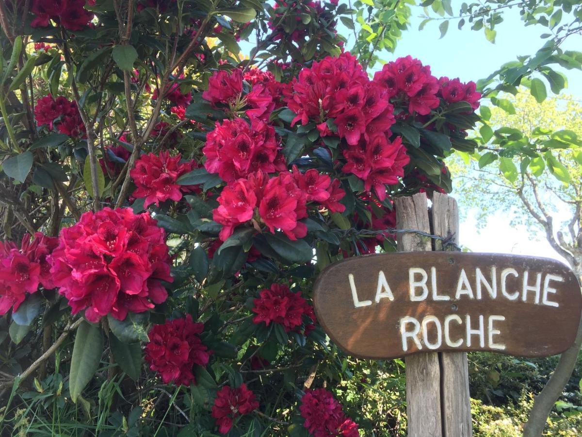 La Blanche Roche Bed and Breakfast Sourdeval Εξωτερικό φωτογραφία